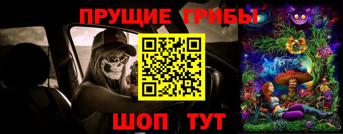 Псилоцибиновые грибы GOLDEN TEACHER Петрозаводск